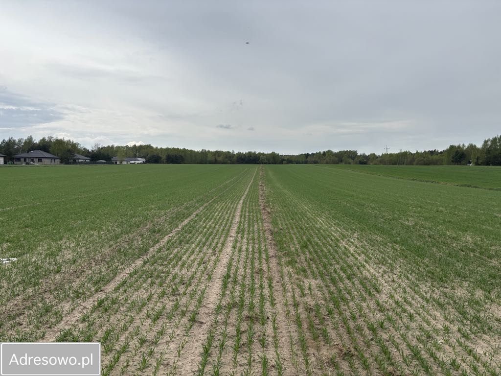 Działka budowlana Bądzyń, ul. ks. Brzóski