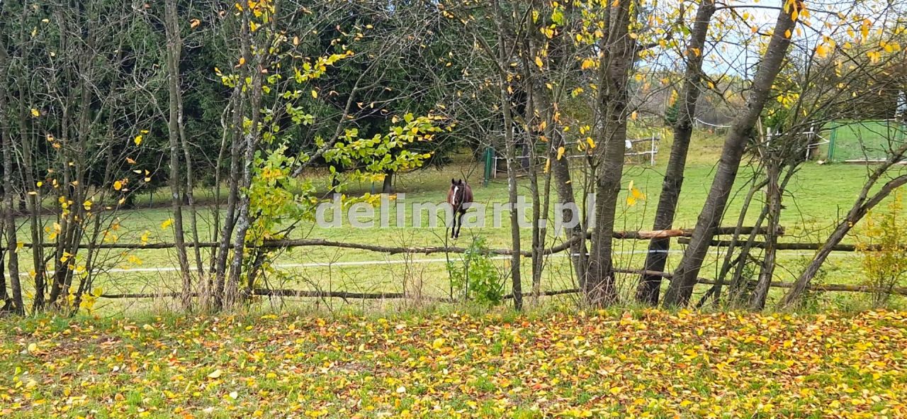 Działka budowlana Srogów Dolny. Zdjęcie 3
