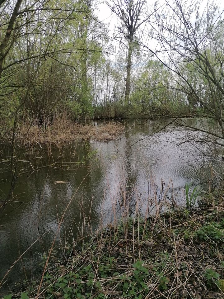 Działka budowlana Wojków. Zdjęcie 4