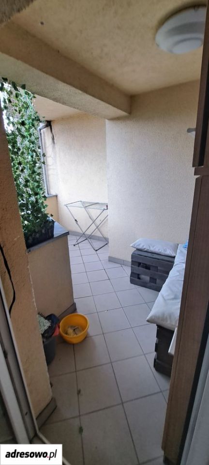 Mieszkanie 2-pokojowe Wrocław Psie Pole, ul. Sycowska. Zdjęcie 11
