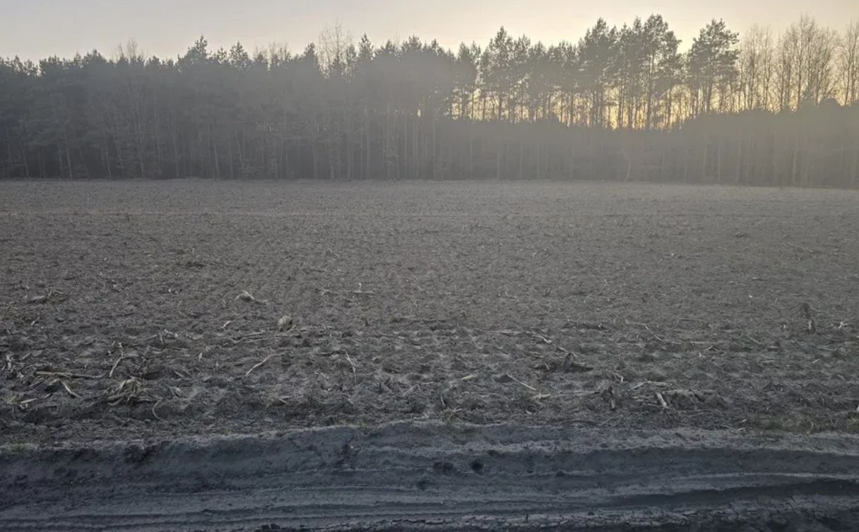 Działka rolna Czermno. Zdjęcie 7