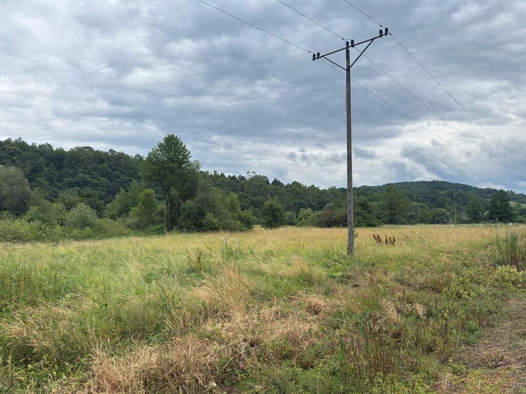 Działka rolna Tarnawa Dolna. Zdjęcie 5