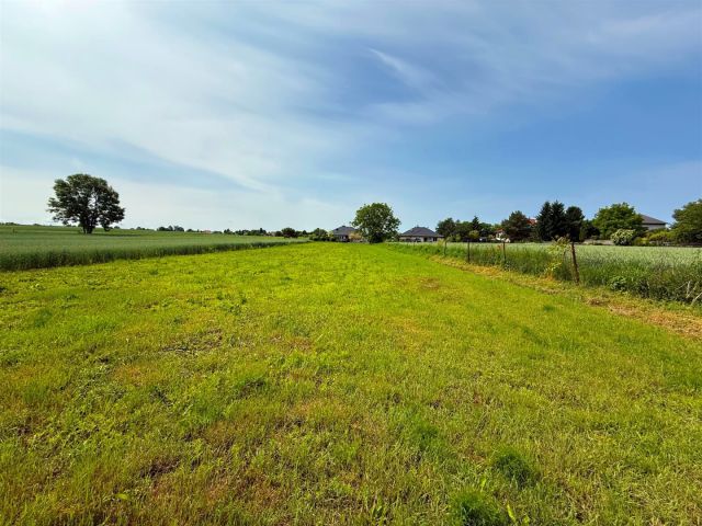 Działka budowlana Franciszków. Zdjęcie 4