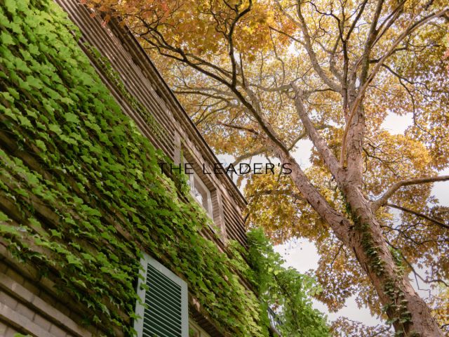 dom wolnostojący, 6 pokoi Warszawa Śródmieście. Zdjęcie 6