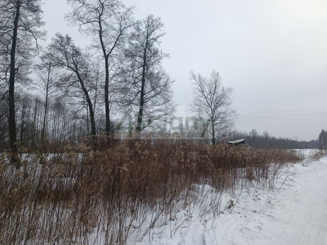 Działka budowlana Dobczyn. Zdjęcie 3