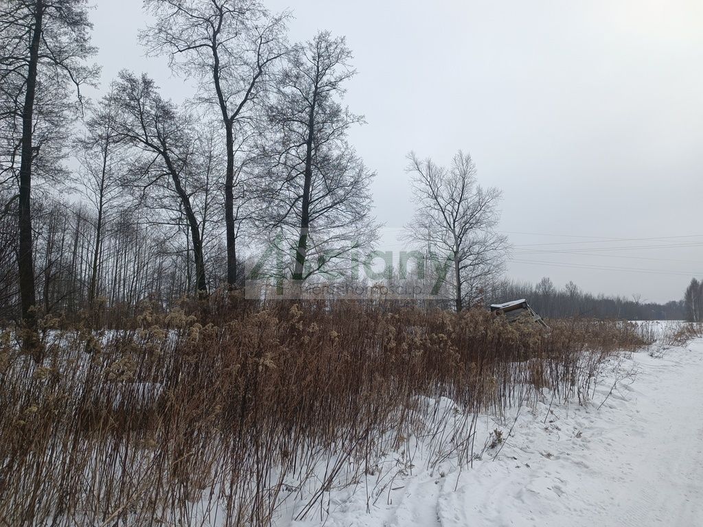 Działka budowlana Dobczyn. Zdjęcie 3