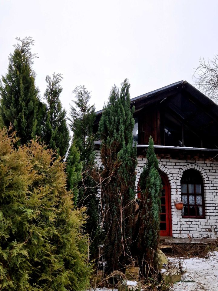 Działka rod Mysłowice, ul. 3 Maja. Zdjęcie 5