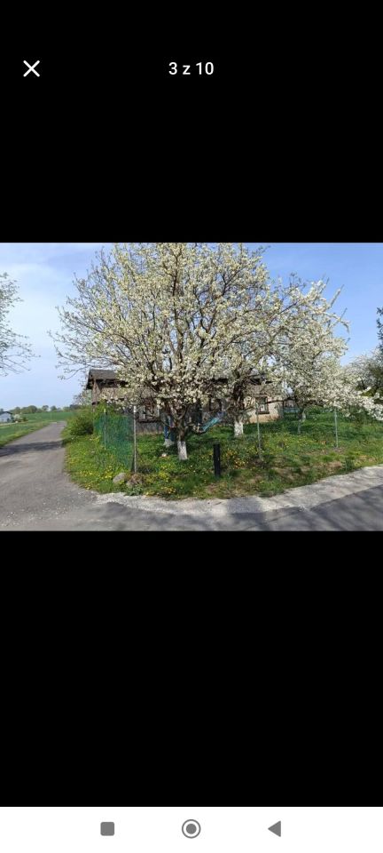 siedlisko, 3 pokoje Brudzawki, Brudzawki 1. Zdjęcie 3