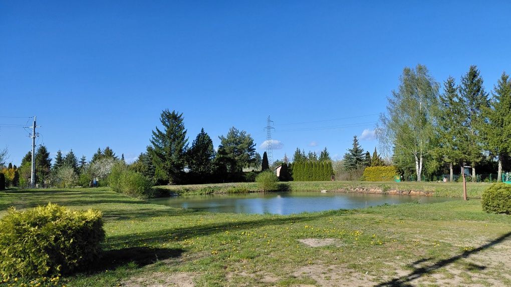 Działka rod Ciechanów. Zdjęcie 3