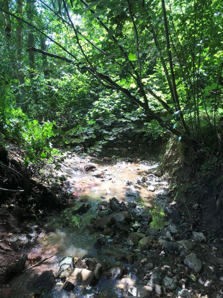 Działka leśna Mogilany, ul. Rzemieślnicza. Zdjęcie 3