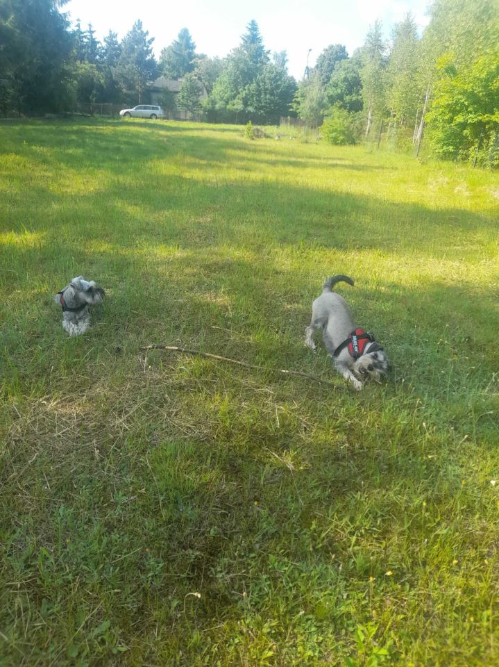 Działka budowlana Częstochowa Lisiniec, ul. Naftowa. Zdjęcie 6