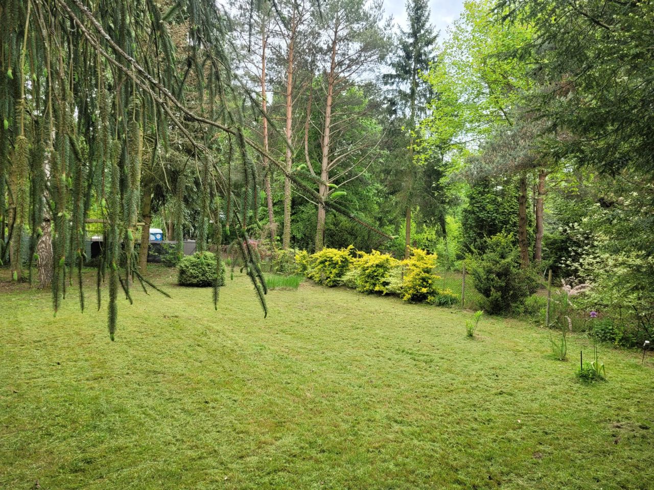 Działka rekreacyjna Popowo-Parcele, ul. Środkowa. Zdjęcie 16