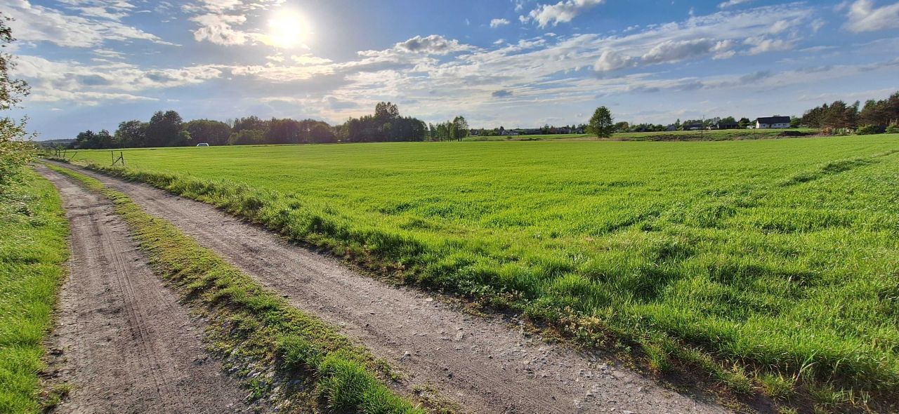 Działka rolno-budowlana Jawidz. Zdjęcie 2