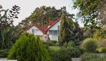 dom wolnostojący, 8 pokoi Zygmuntów