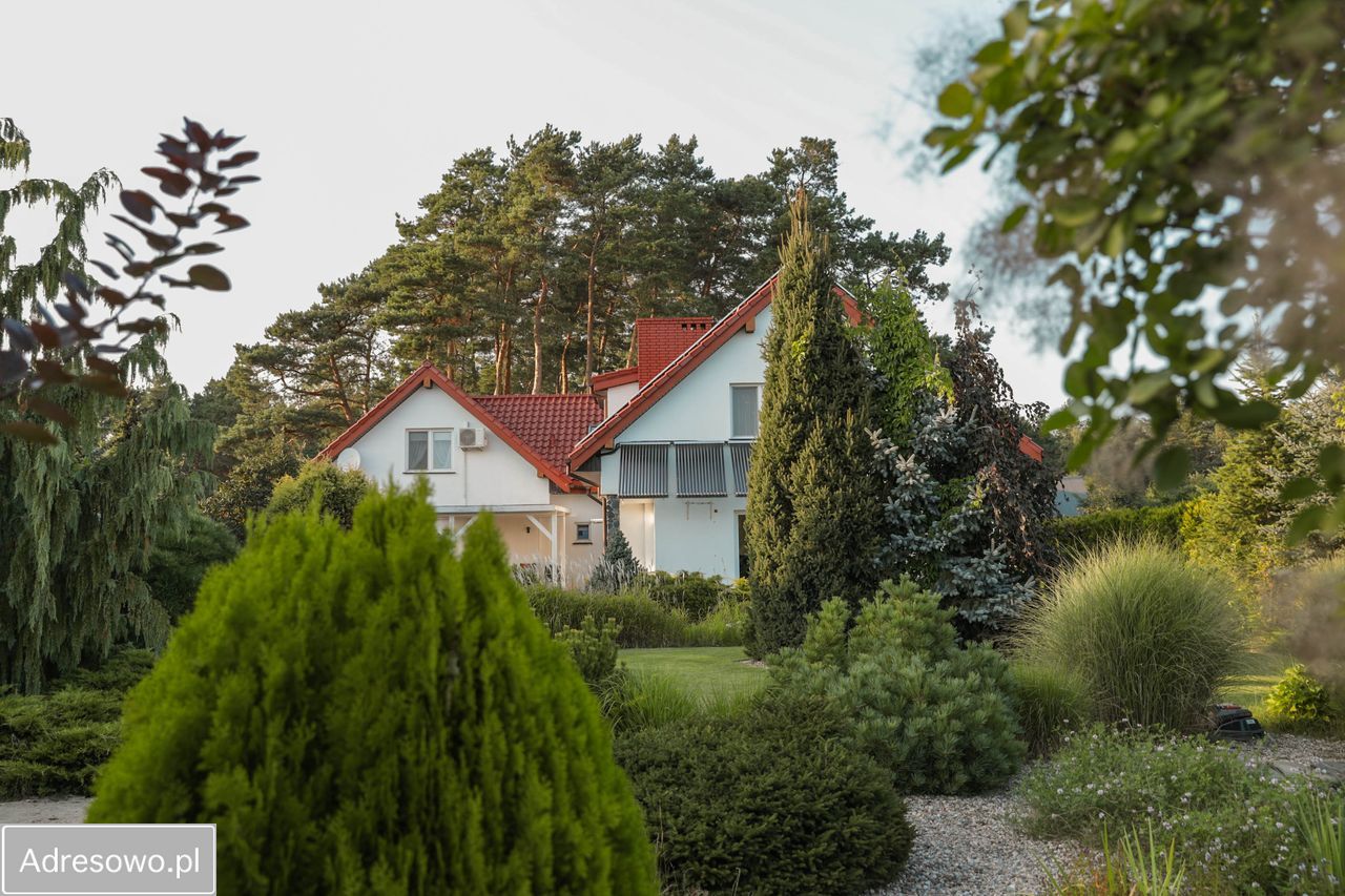 dom wolnostojący, 8 pokoi Zygmuntów