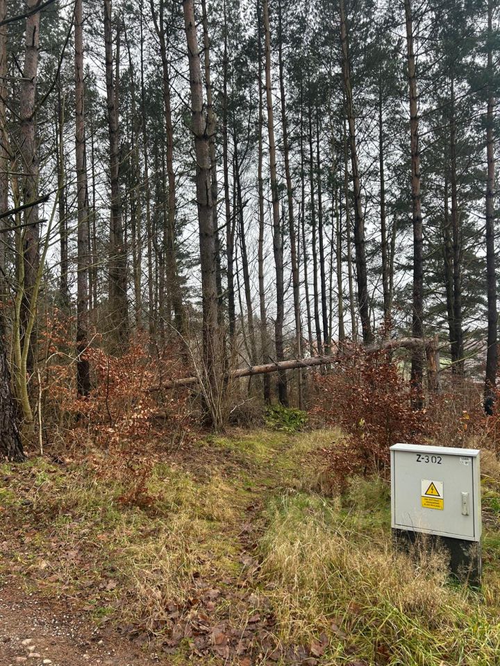 Działka rekreacyjna Nowe Czaple, ul. Sosnowa. Zdjęcie 4