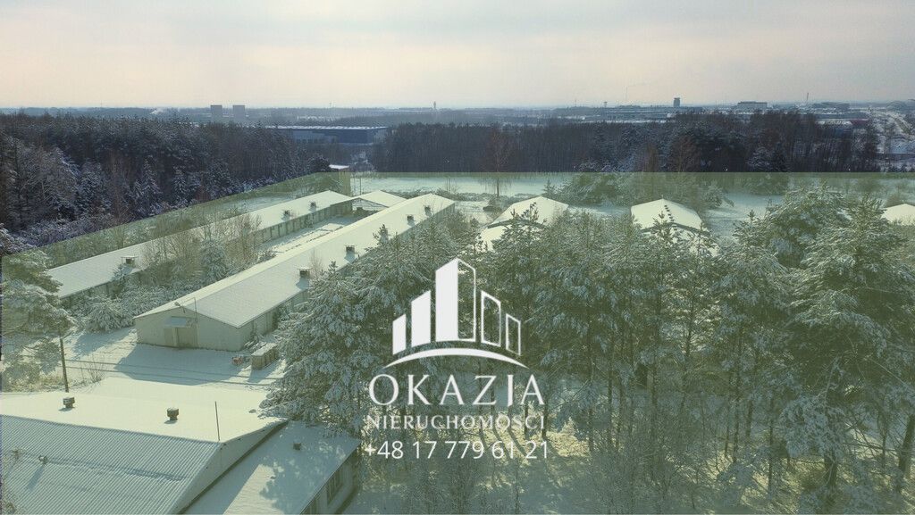 Działka inwestycyjna Wysoka Głogowska. Zdjęcie 20