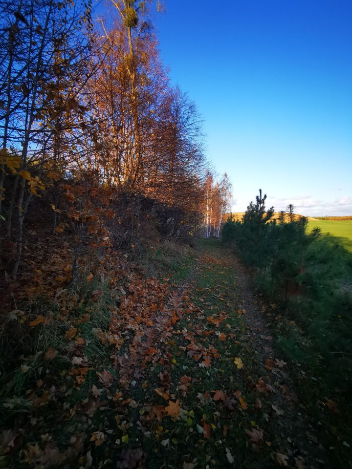 Działka budowlana Bisztynek. Zdjęcie 7