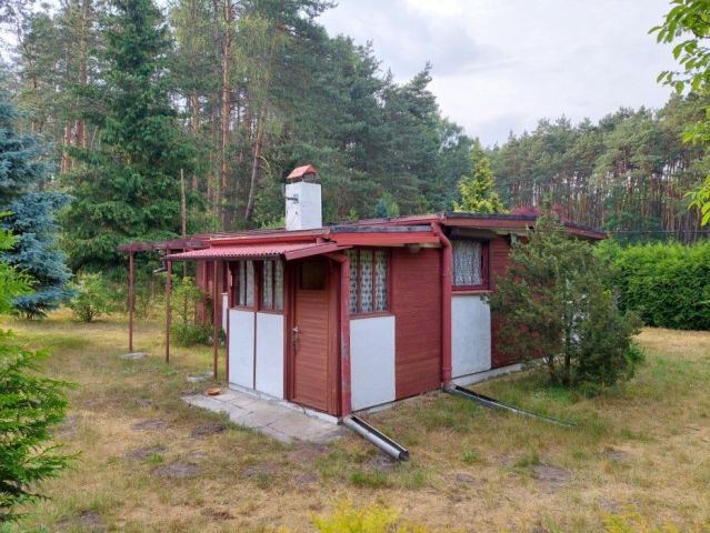 Działka budowlana Drużbice. Zdjęcie 15