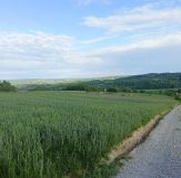 Działka rolna Niedźwiada. Zdjęcie 1