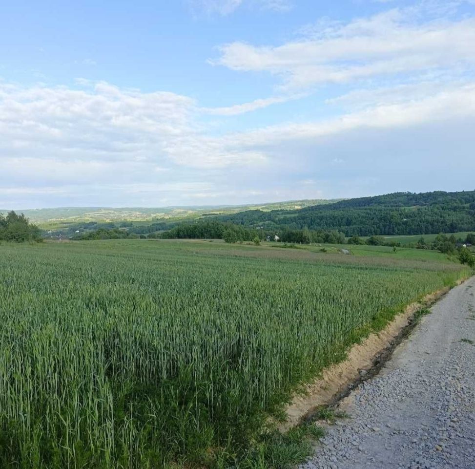 Działka rolna Niedźwiada. Zdjęcie 2