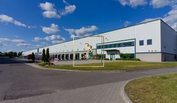 Hala/magazyn Kopytów