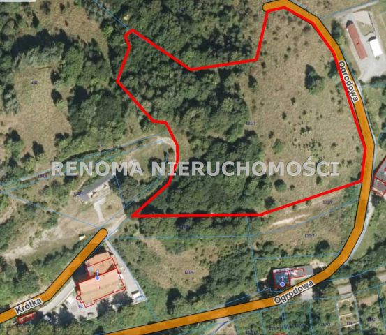 Działka Srebrna Góra, ul. Ogrodowa. Zdjęcie 1