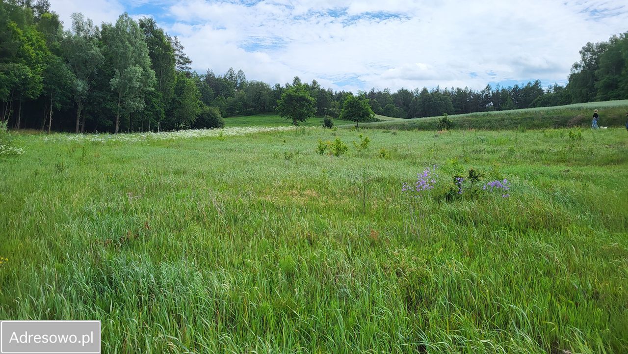 Działka rekreacyjna Zawory. Zdjęcie 2