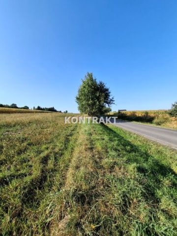 Działka Głębowice, ul. Oświęcimska. Zdjęcie 4