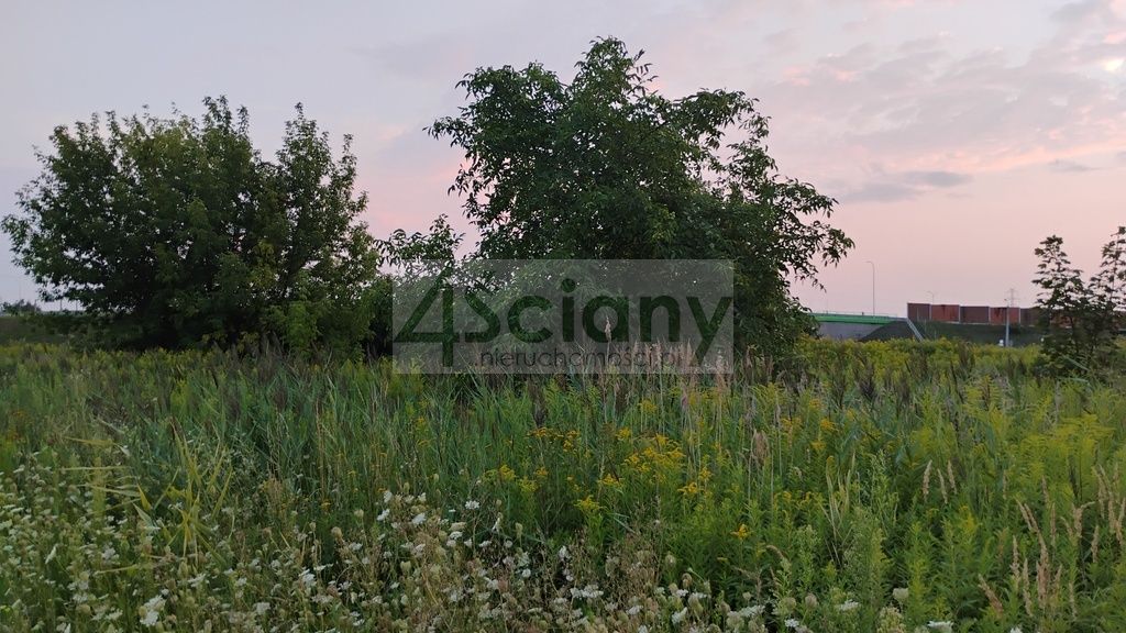 Działka inwestycyjna Nowa Wola. Zdjęcie 6