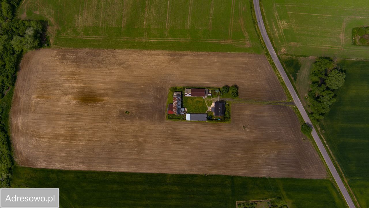 gospodarstwo, 3 pokoje Bachorzewo. Zdjęcie 6