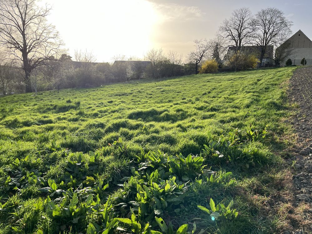 Działka budowlana Olbrachcice Wielkie. Zdjęcie 6