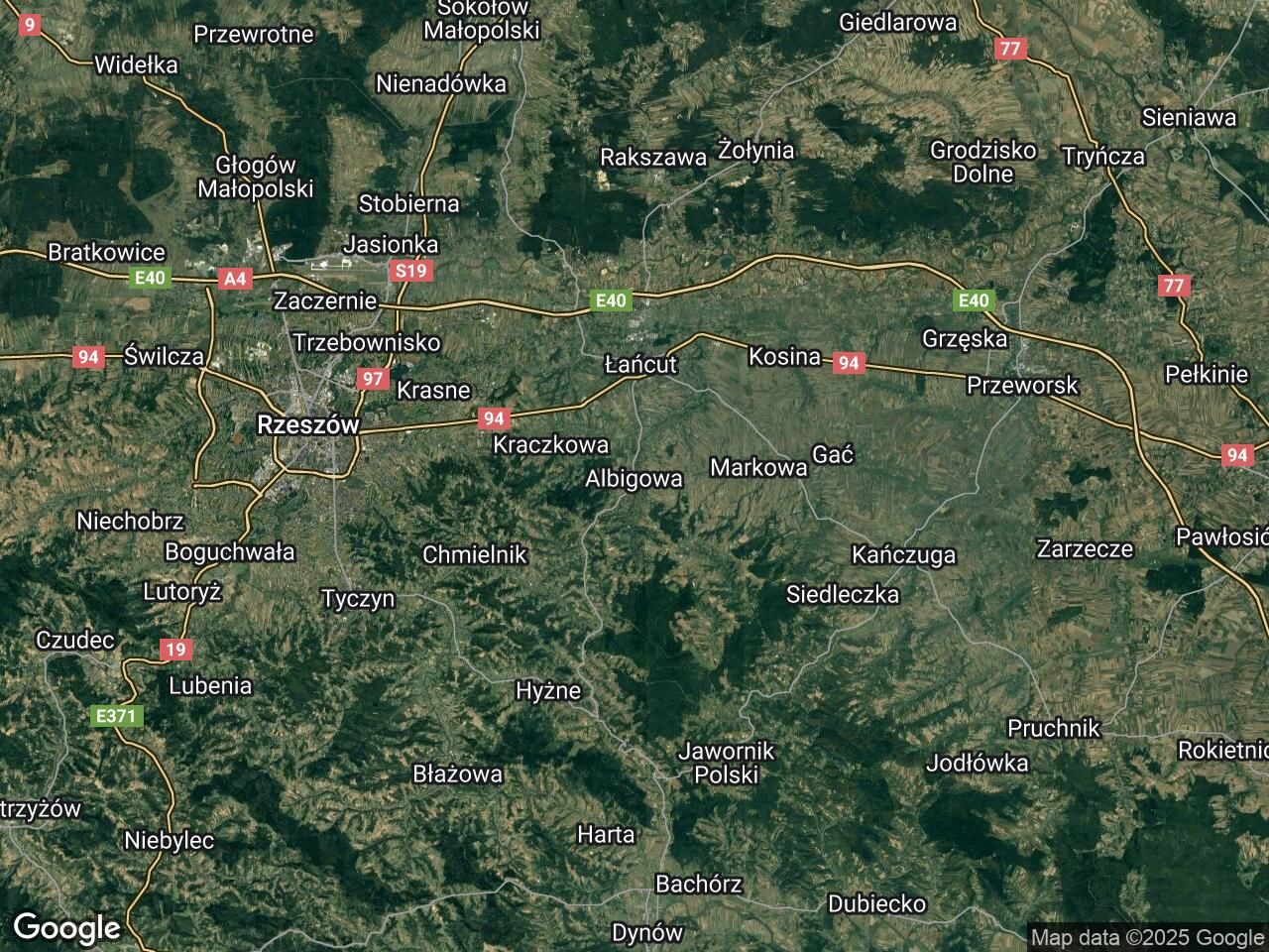 Działka leśna Albigowa