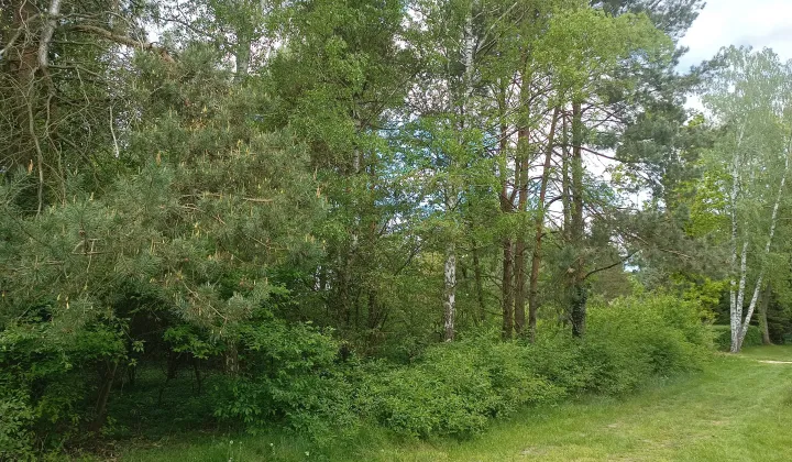 Działka budowlana Tomczyce