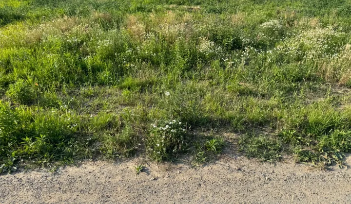 Działka budowlana Ząbkowice Śląskie, ul. Malinowa