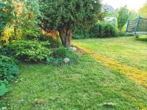 Działka rod Jelenia Góra Cieplice Śląskie-Zdrój, ul. Norberta Barlickiego. Zdjęcie 2