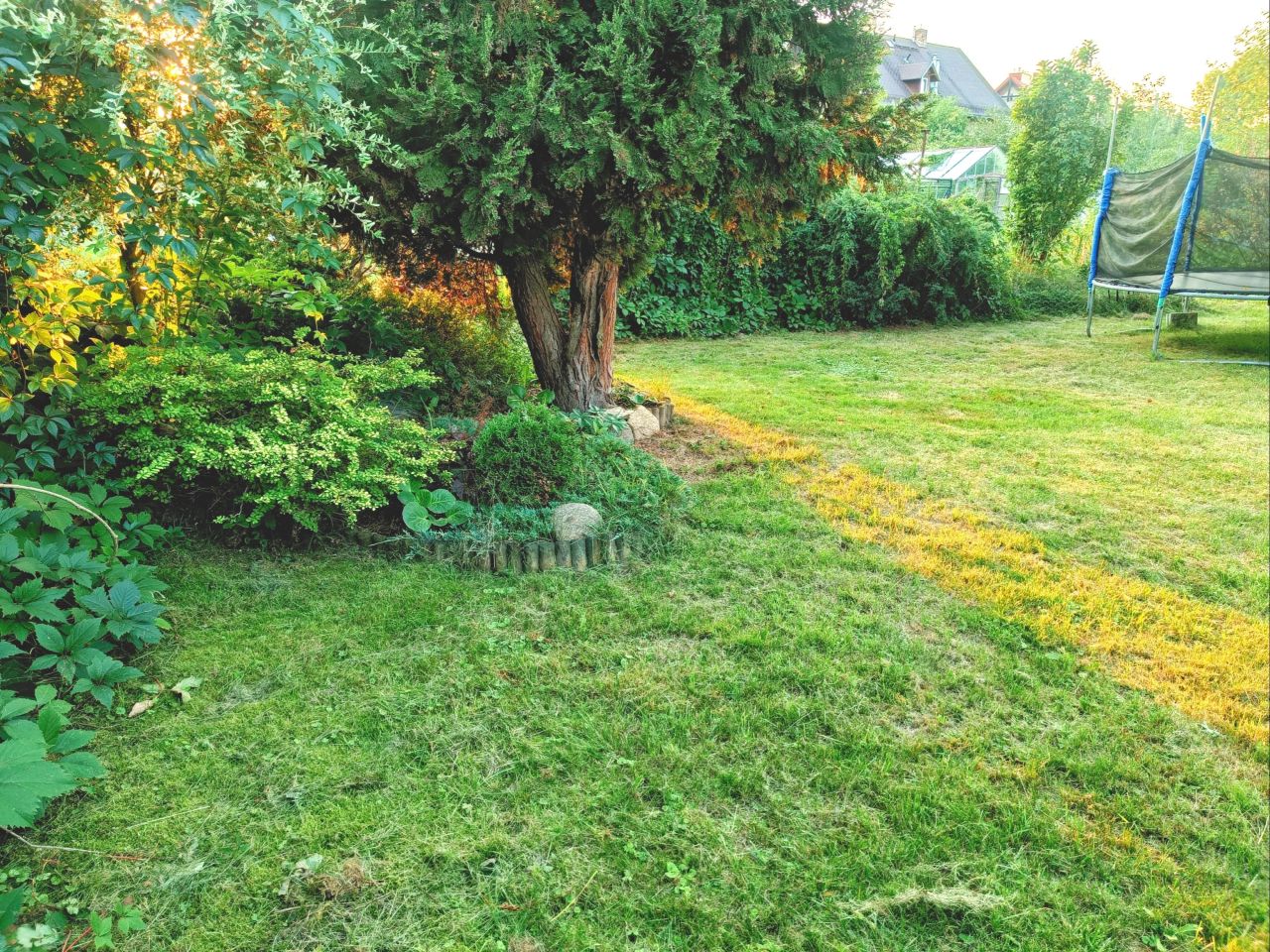 Działka rod Jelenia Góra Cieplice Śląskie-Zdrój, ul. Norberta Barlickiego. Zdjęcie 3