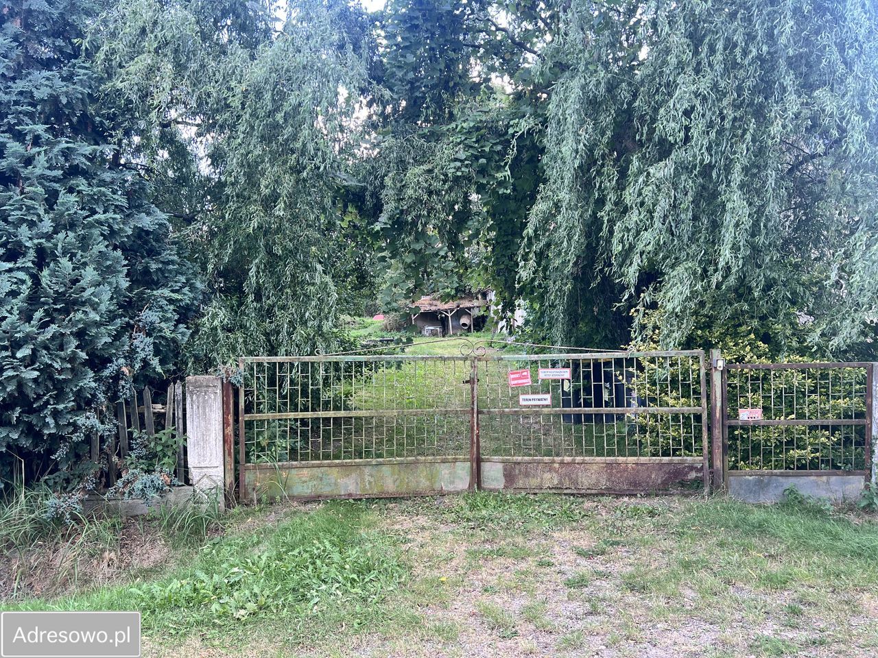 Działka Goła. Zdjęcie 10