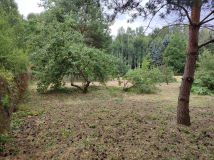 Działka budowlana Marylka, ul. Sosny. Zdjęcie 3