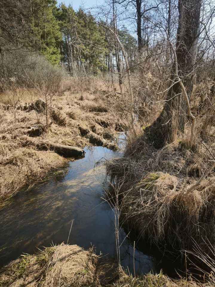Działka budowlana Borucza Paluchy. Zdjęcie 2