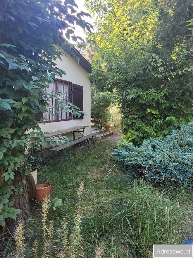 Działka rod Poznań Stare Miasto, ul. Wrzesińska. Zdjęcie 7