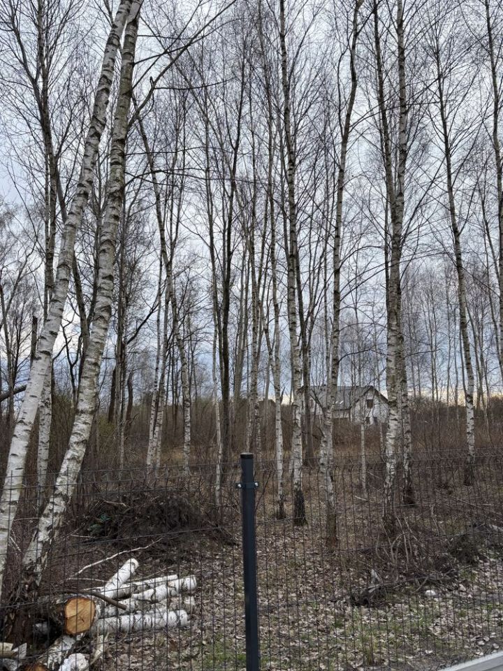 Działka budowlana Kluczewsko. Zdjęcie 3