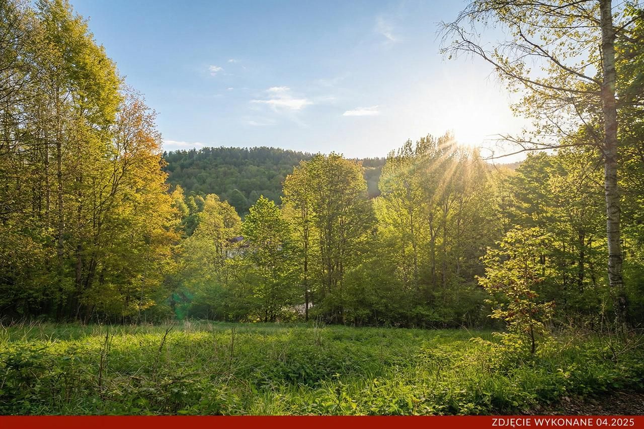 Działka budowlana Konradów. Zdjęcie 6