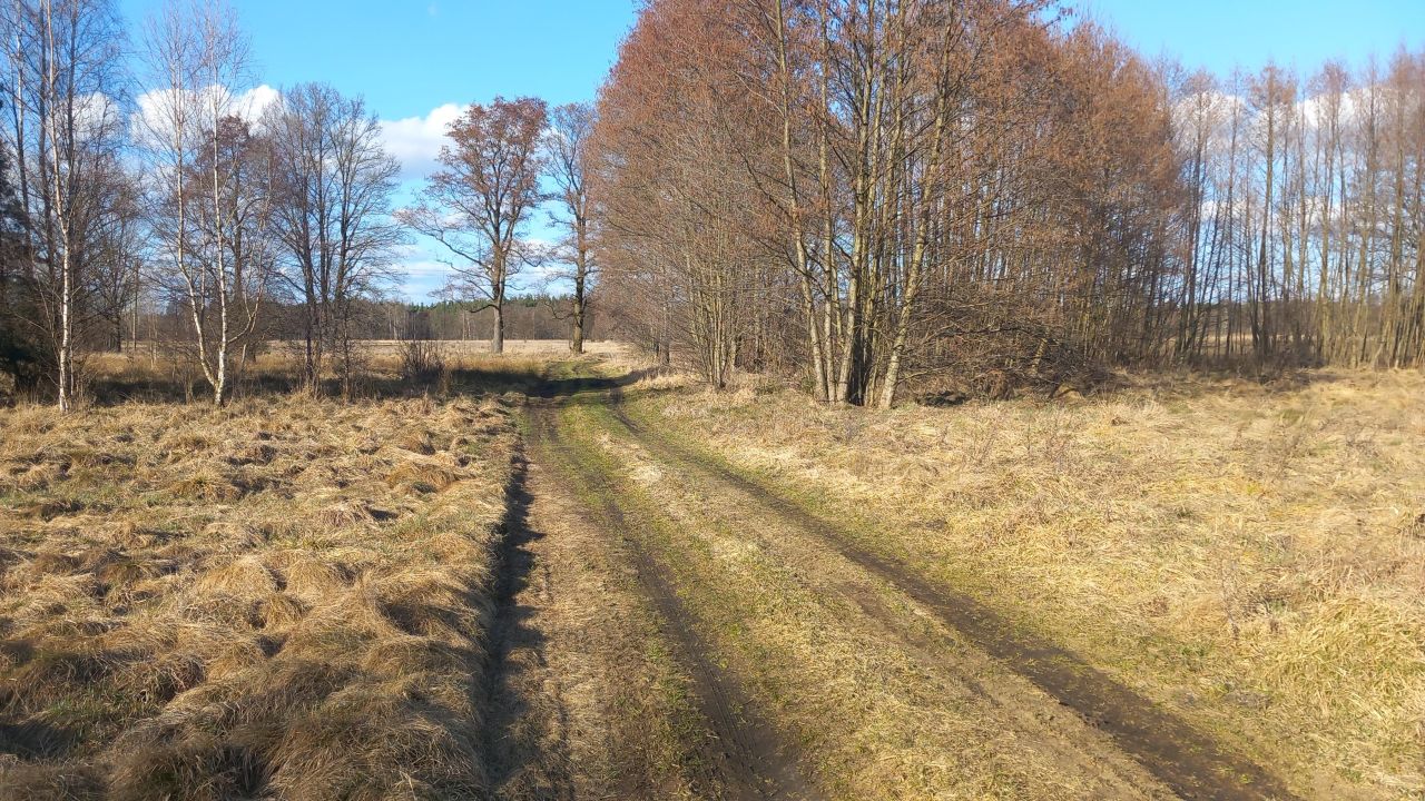 Działka rolna Zielona Góra Jarogniewice, ul. Jarogniewice. Zdjęcie 9