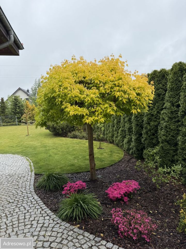 dom wolnostojący, 5 pokoi Lusowo, ul. Zielna. Zdjęcie 14