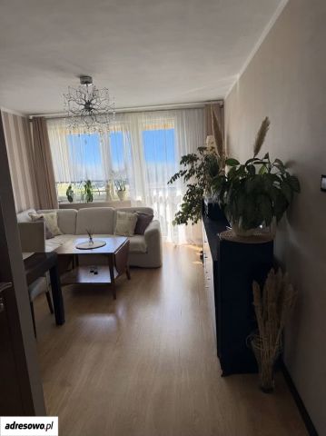 Mieszkanie 4-pokojowe Zielona Góra Centrum, ul. Węgierska. Zdjęcie 1