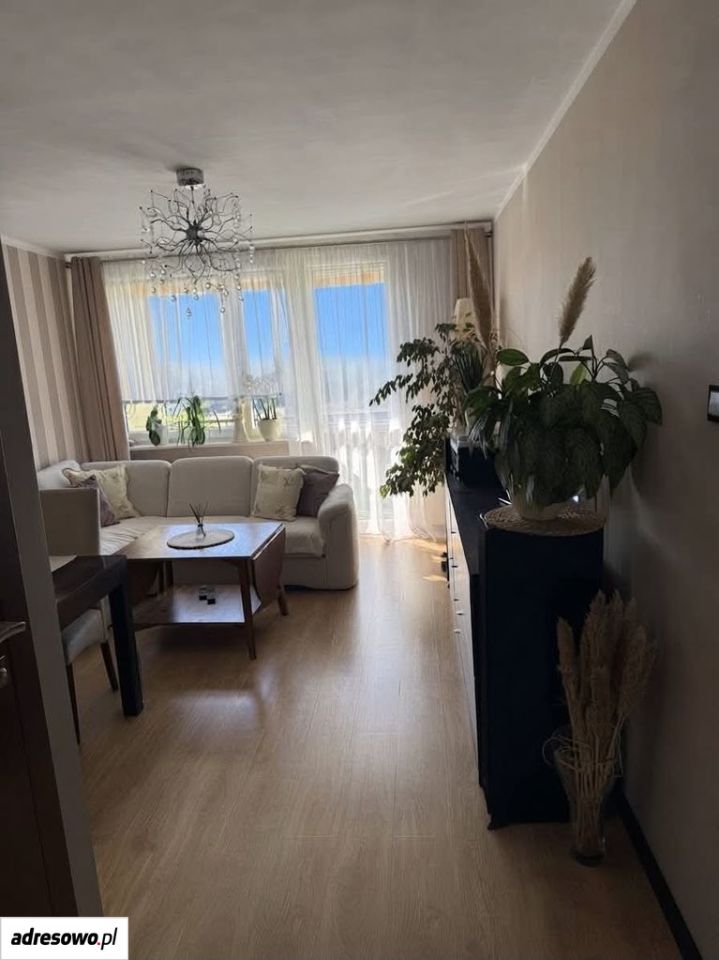 Mieszkanie 4-pokojowe Zielona Góra Centrum, ul. Węgierska. Zdjęcie 1