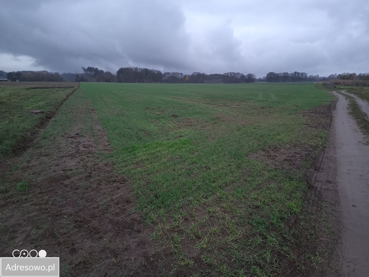 Działka budowlana Chwalęcice, ul. Leśna. Zdjęcie 8