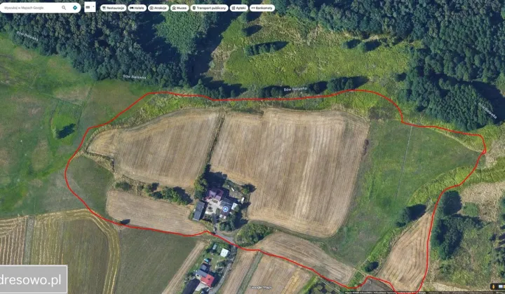 Działka rolna Mikołów, ul. Rolnicza