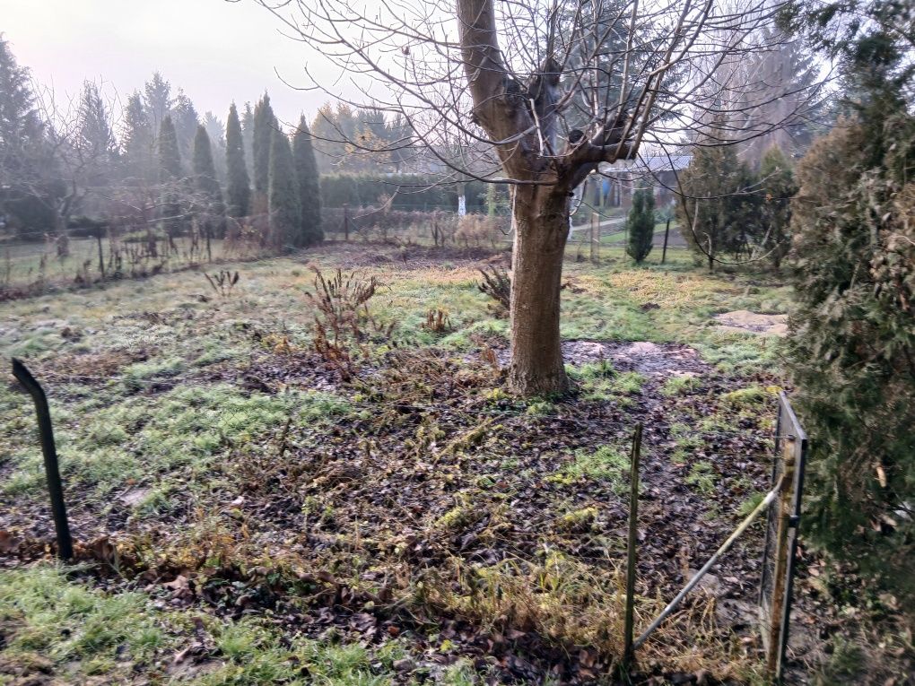 Działka rod Kowalewo Pomorskie. Zdjęcie 3